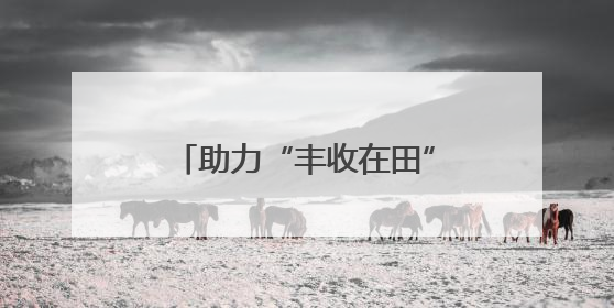 助力“丰收在田”变“丰收到手”，河北各地各部门厉兵秣马迎战“三夏”