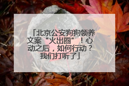 北京公安狗狗领养文案“火出圈”！心动之后，如何行动？我们打听了