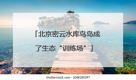 北京密云水库鸟岛成了生态“训练场”