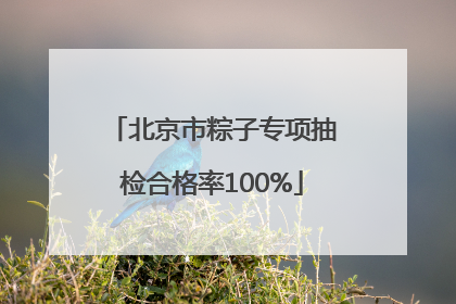 北京市粽子专项抽检合格率100%