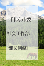 北京市委社会工作部部长调整