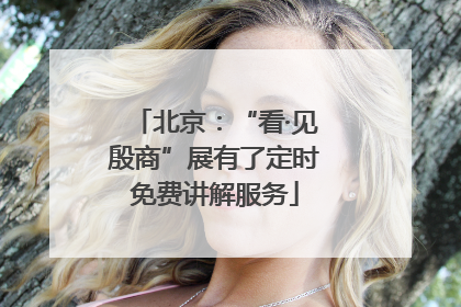 北京：“看·见殷商”展有了定时免费讲解服务
