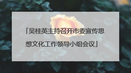 吴桂英主持召开市委宣传思想文化工作领导小组会议