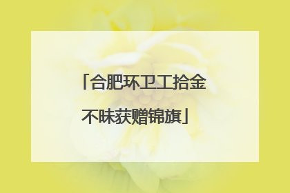 合肥环卫工拾金不昧获赠锦旗
