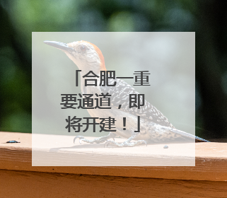 合肥一重要通道，即将开建！