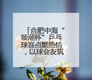 合肥中海“领潮杯”乒乓球赛点燃热情，以球会友筑邻里温情