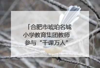 合肥市琥珀名城小学教育集团教师参与“千课万人”数学论坛活动