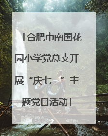 合肥市南国花园小学党总支开展“庆七一”主题党日活动