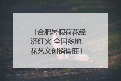 合肥暑假荷花经济红火 全国多地花艺文创销售旺