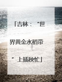 吉林：“世界黄金水稻带”上插秧忙