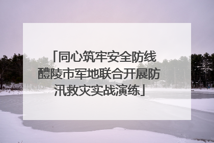 同心筑牢安全防线 醴陵市军地联合开展防汛救灾实战演练