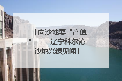 向沙地要“产值”——辽宁科尔沁沙地兴绿见闻