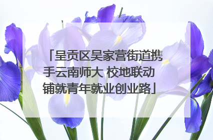 呈贡区吴家营街道携手云南师大 校地联动铺就青年就业创业路