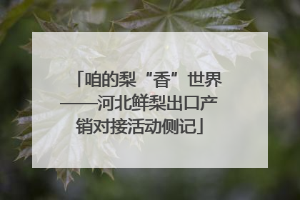 咱的梨“香”世界——河北鲜梨出口产销对接活动侧记