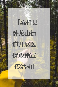 嘉祥县卧龙山街道开展医保政策宣传活动