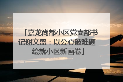 嘉龙尚都小区党支部书记谢文盛：以公心破难题 绘就小区新画卷