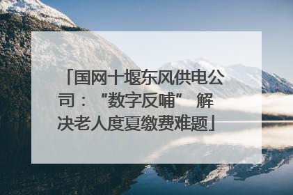 国网十堰东风供电公司：“数字反哺” 解决老人度夏缴费难题
