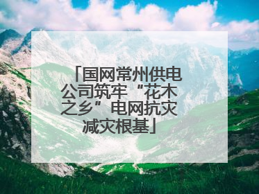 国网常州供电公司筑牢“花木之乡”电网抗灾减灾根基