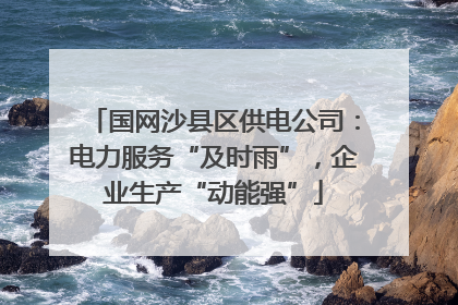 国网沙县区供电公司：电力服务“及时雨”，企业生产“动能强”