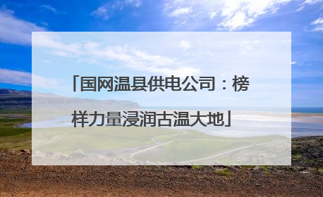 国网温县供电公司：榜样力量浸润古温大地