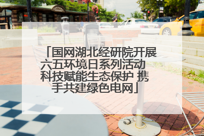 国网湖北经研院开展六五环境日系列活动 科技赋能生态保护 携手共建绿色电网