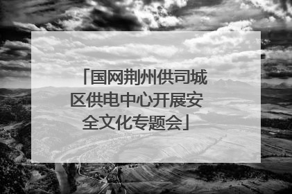 国网荆州供司城区供电中心开展安全文化专题会