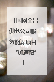 国网金昌供电公司服务能源项目“加速跑”