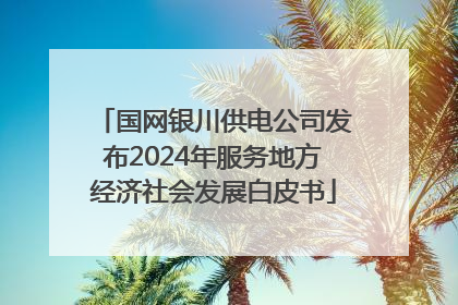 国网银川供电公司发布2024年服务地方经济社会发展白皮书