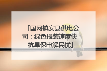 国网镇安县供电公司：绿色报装速度快 抗旱保电解民忧