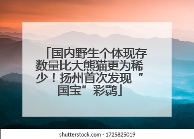 国内野生个体现存数量比大熊猫更为稀少！扬州首次发现“国宝”彩鹮