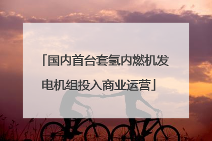 国内首台套氢内燃机发电机组投入商业运营