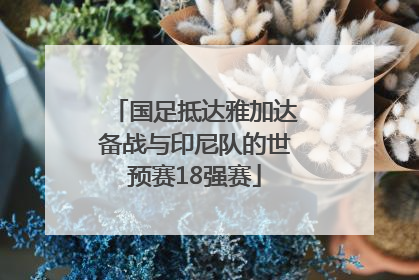国足抵达雅加达备战与印尼队的世预赛18强赛