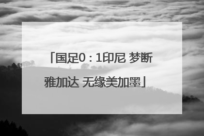 国足0∶1印尼 梦断雅加达 无缘美加墨