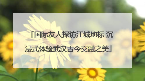 国际友人探访江城地标 沉浸式体验武汉古今交融之美