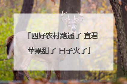 四好农村路通了 宜君苹果甜了 日子火了