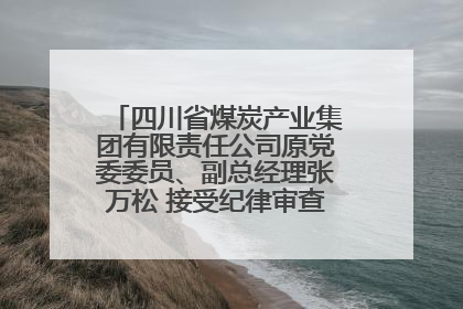 四川省煤炭产业集团有限责任公司原党委委员、副总经理张万松 接受纪律审查和监察调查