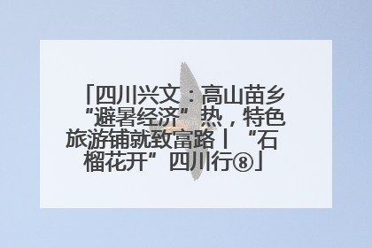 四川兴文：高山苗乡“避暑经济”热，特色旅游铺就致富路丨“石榴花开”四川行⑧