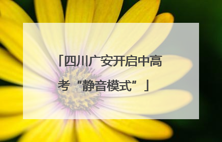 四川广安开启中高考“静音模式”