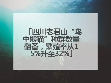 四川老君山“鸟中熊猫”种群数量翻番，繁殖率从15%升至32%