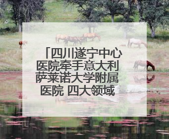 四川遂宁中心医院牵手意大利萨莱诺大学附属医院 四大领域开展全面合作