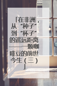 在非洲，从“种子”到“杯子”的遥远距离——一颗咖啡豆的前世今生（三）