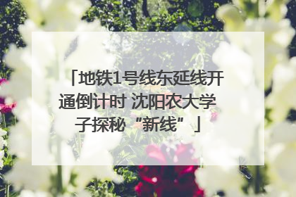 地铁1号线东延线开通倒计时 沈阳农大学子探秘“新线”
