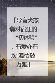 导盲犬杰瑞对宿迁的“初体验”：有爱亦有坎 温情破万难