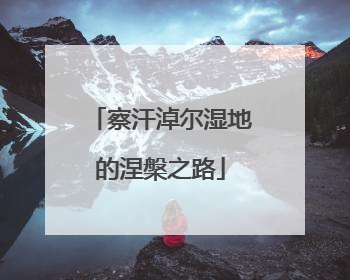 察汗淖尔湿地的涅槃之路