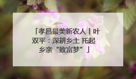 孝昌最美新农人丨叶双平：深耕乡土 托起乡亲“致富梦”