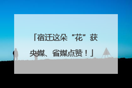 宿迁这朵“花”获央媒、省媒点赞！