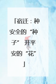 宿迁：种安全的“种子” 开平安的“花”