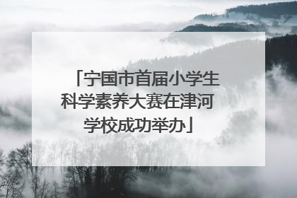 宁国市首届小学生科学素养大赛在津河学校成功举办