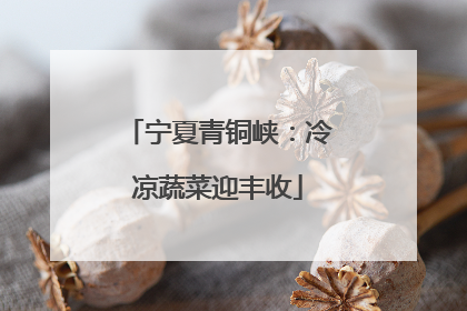 宁夏青铜峡：冷凉蔬菜迎丰收