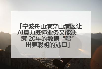 宁波舟山港穿山港区让AI算力既懂业务又能决策 20年的数据“喂”出更聪明的港口
